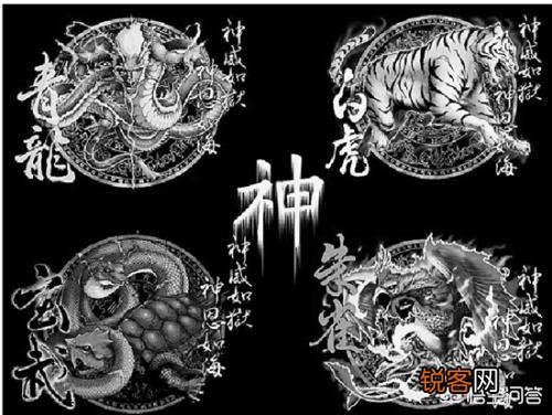 为什么古人能想象出各种神兽,是不是古代真的有这些东西？