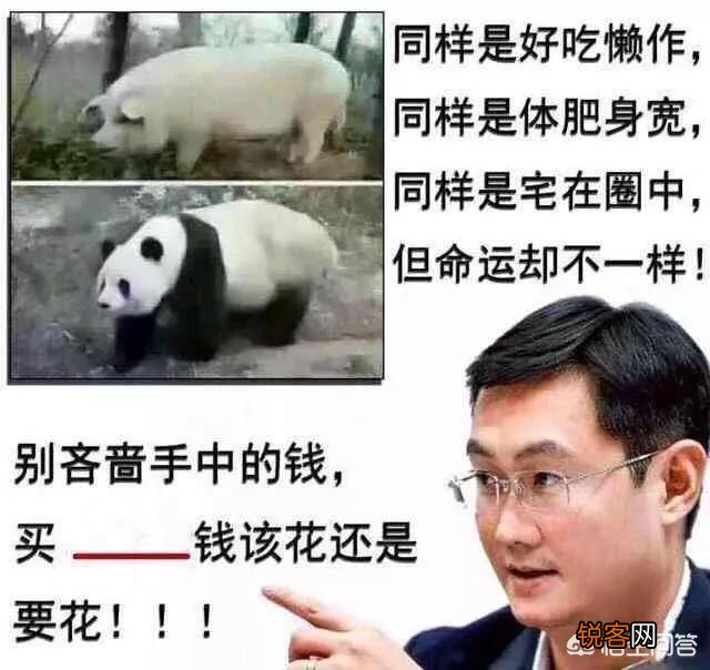 王者荣耀：王者史上最贵皮肤诞生,欧皇只用180,非酋体制要4000,你们会买吗？