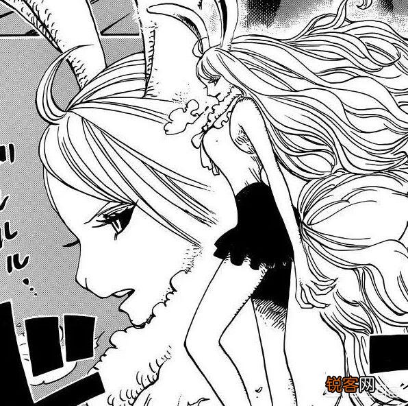 《海贼王》有哪些实力强大颜值又好的女海贼？