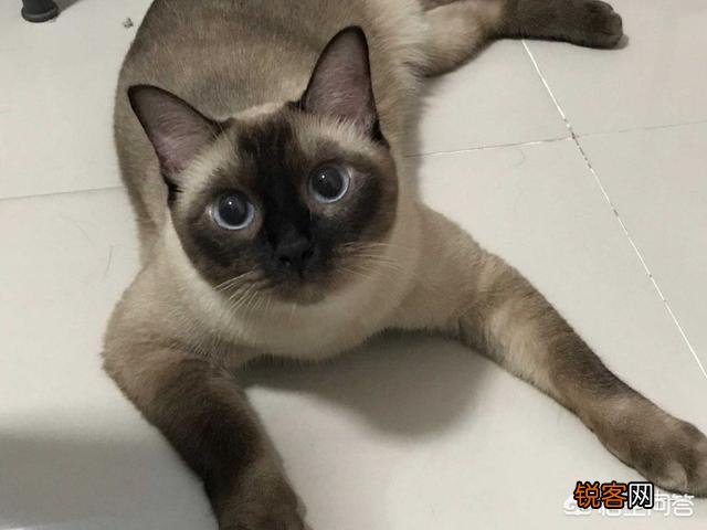 探探的女生靠谱么？