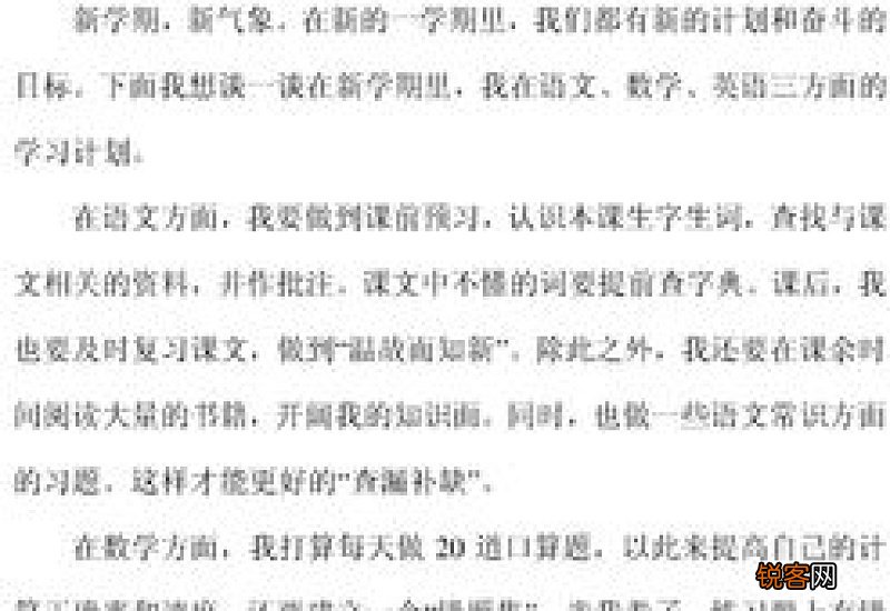 新学期新计划作文300字