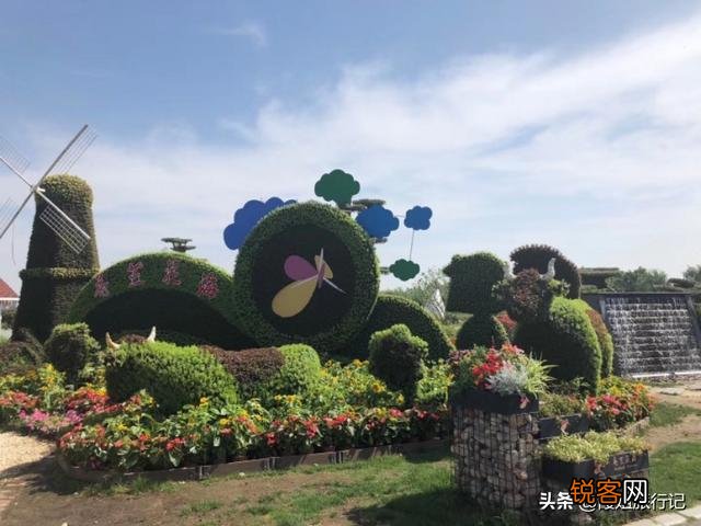 你玩头条玩了多久？