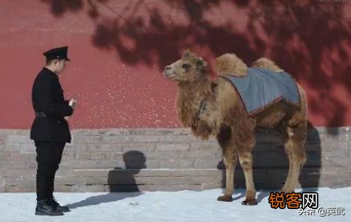《新世界》里的铁林大家可以评价一下么？我怎么感觉现实生活中都是这样的人？