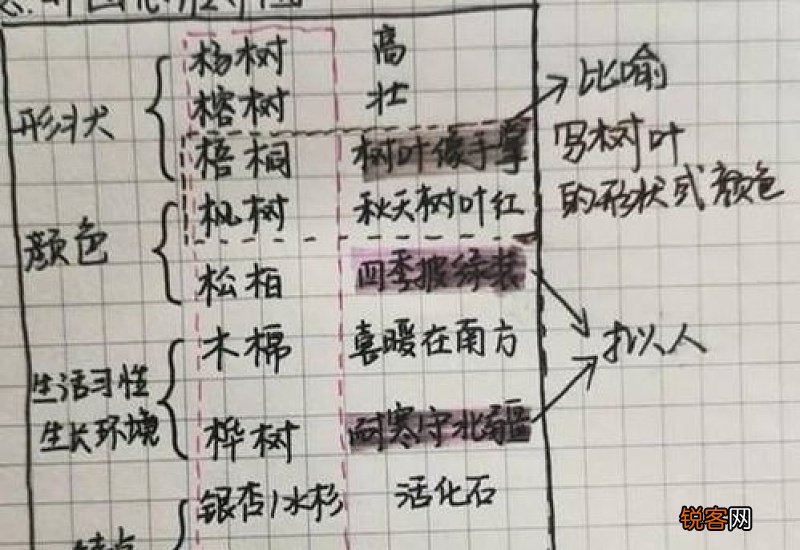 树组词_树的组词_树怎么组词