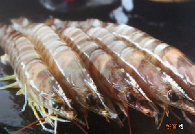 基围虾的虾黄可以吃吗