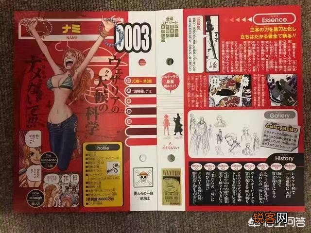 海贼王中,娜美有了宙斯,实力怎么样？低配的艾尼路嘛？