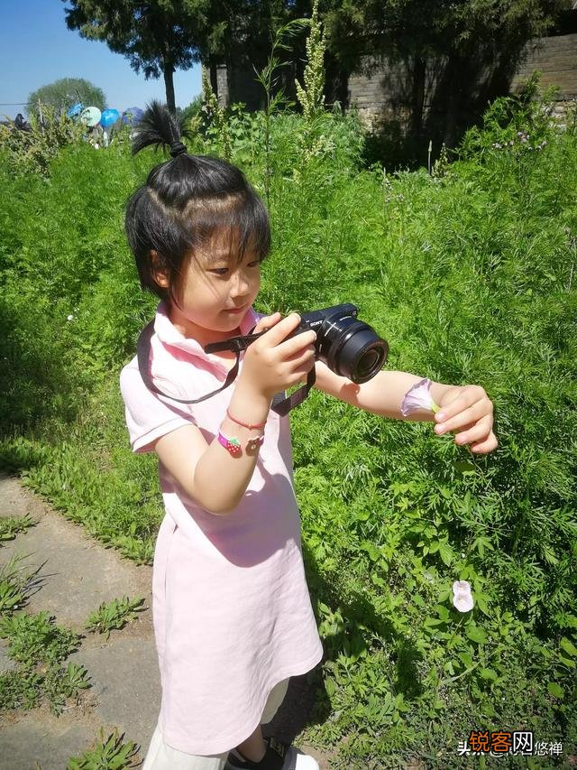 去一个陌生的地方旅游,你们是怎么去避坑的？
