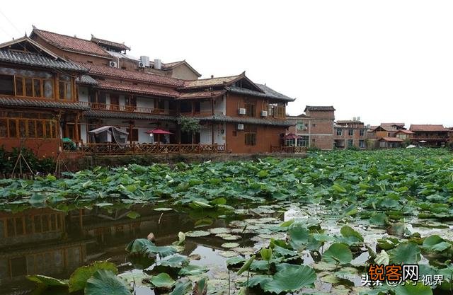 去一个陌生的地方旅游,你们是怎么去避坑的？