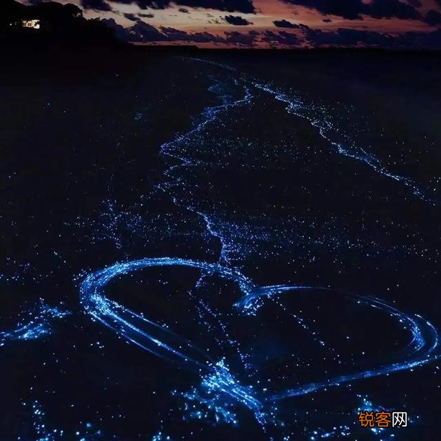 福建平潭的蓝眼泪什么时候去看最合适？