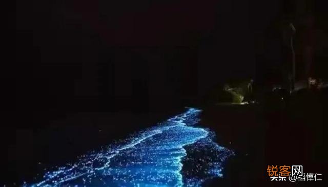 福建平潭的蓝眼泪什么时候去看最合适？