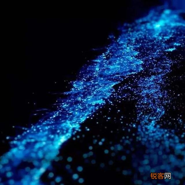 福建平潭的蓝眼泪什么时候去看最合适？