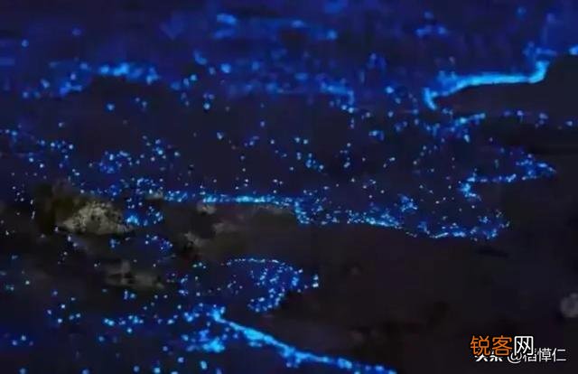 福建平潭的蓝眼泪什么时候去看最合适？