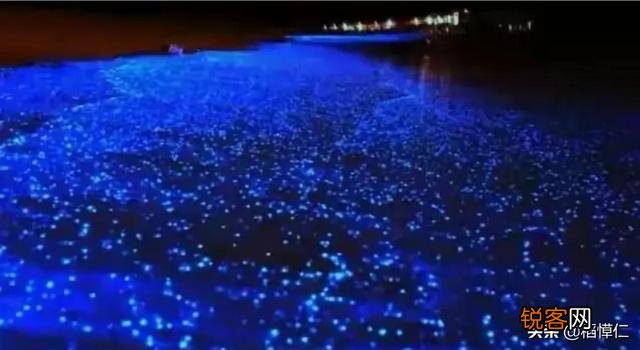 福建平潭的蓝眼泪什么时候去看最合适？