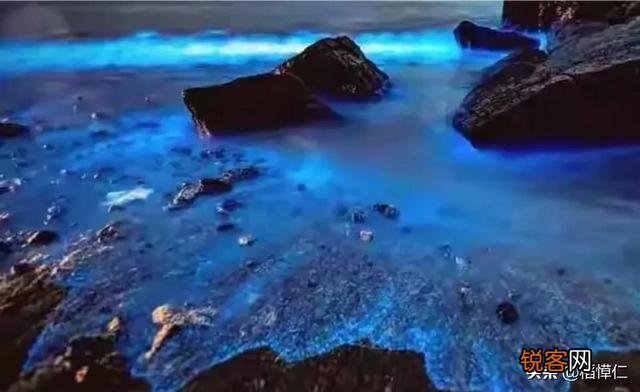 福建平潭的蓝眼泪什么时候去看最合适？