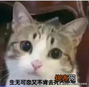 如果世界上只有《奶块》、《迷你世界》、《生存战争》这三个沙盒游戏,你会选择哪一个？为什么？