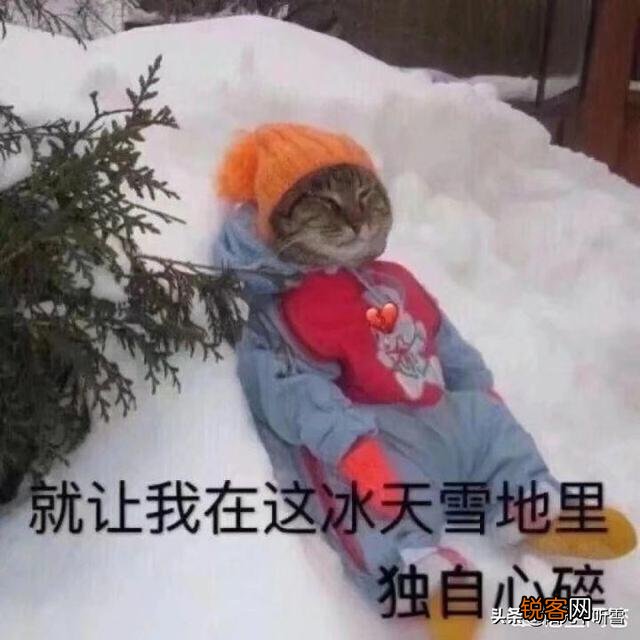 如果世界上只有《奶块》、《迷你世界》、《生存战争》这三个沙盒游戏,你会选择哪一个？为什么？