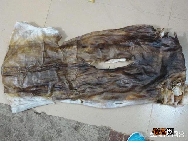 鲨鱼表面有层沙,烹饪前怎样除去那层沙？