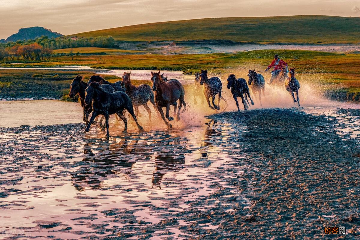 包头市简介概况 包头市是哪个省的城市