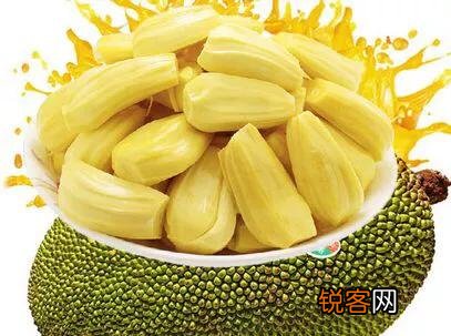 菠萝蜜有什么营养？可以做菜吗？