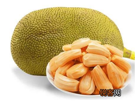 菠萝蜜有什么营养？可以做菜吗？