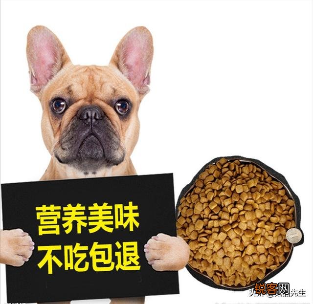 大家如何看待伊拉克经济十年时间翻了八倍的状况？