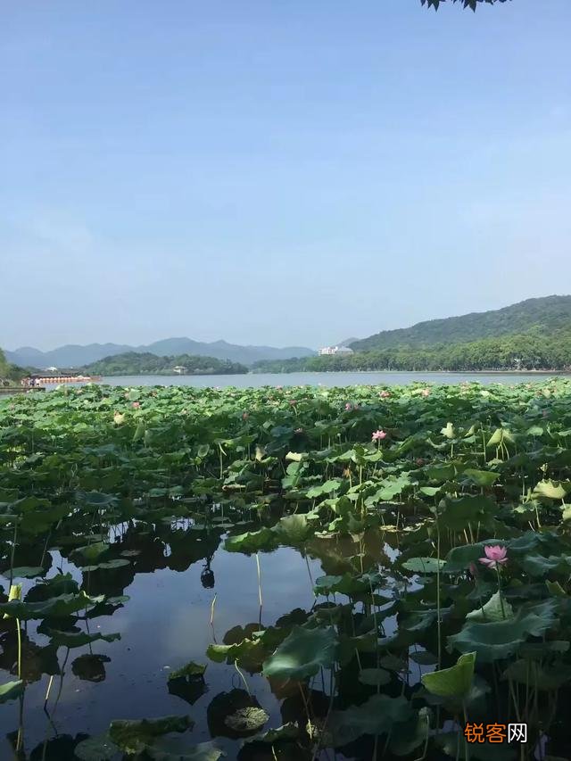 柳永的词是关于哪方面的？