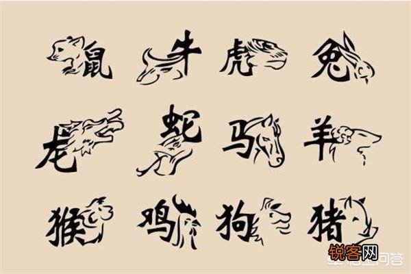 婚配时说属相不合的人,结婚后如何了？