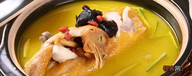 煮鸽子汤跟什么一起煲比较好 鸽子汤的功效与作用