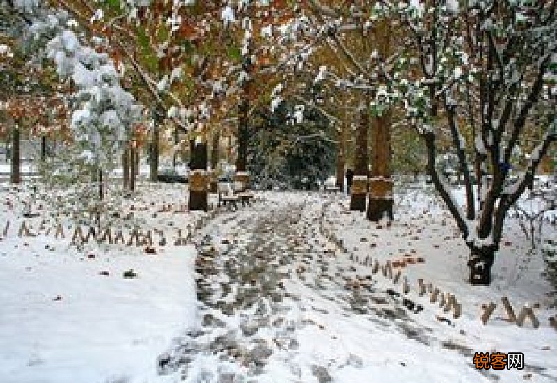 雪上撒盐多久能融化