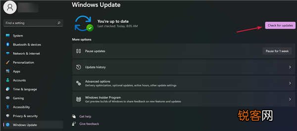 怎么检查Windows11中的新更新？
