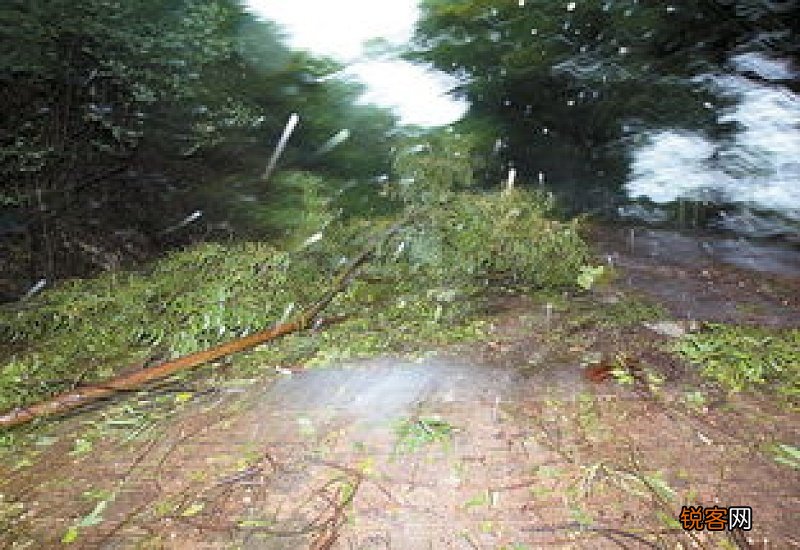 狂风大作的意思