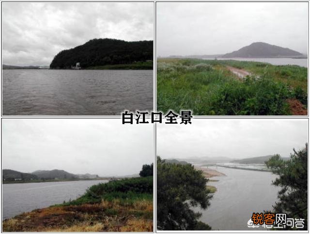 白村江海战为何会发生？