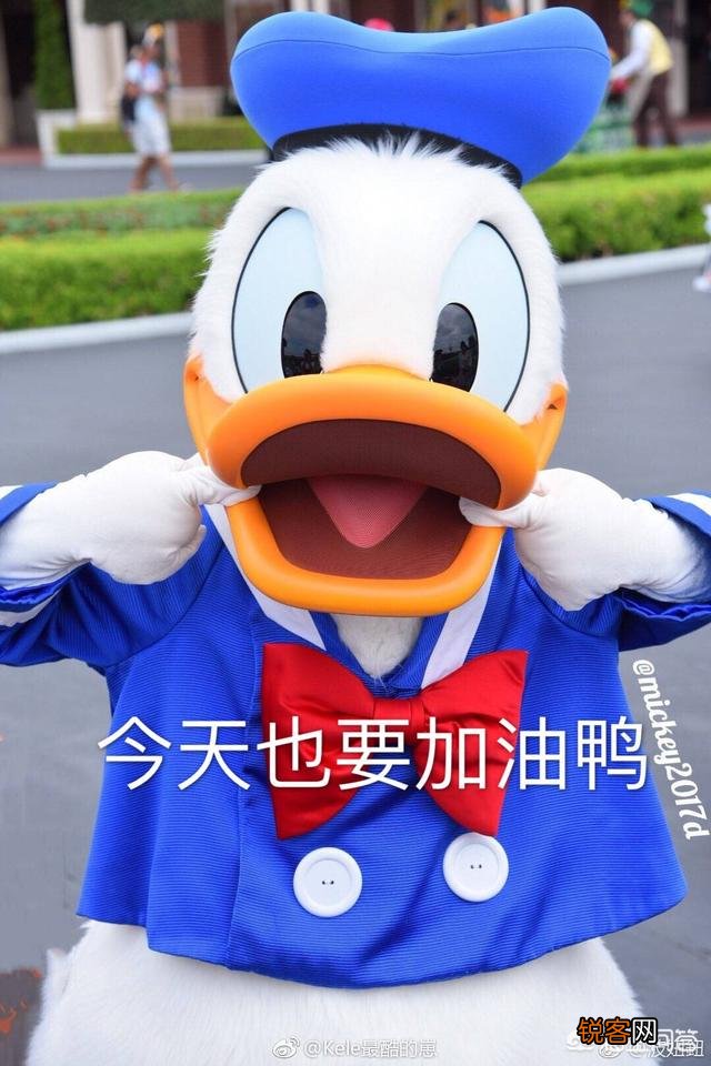 有什么零基础自学英语软件推荐？