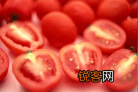 转基因食品的优缺点 什么是转基因食品