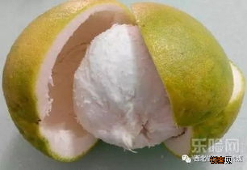 柚子皮可以放衣柜里吗