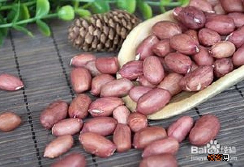 有益心脏健康吃什么食物好？多吃这些食物心脏会更健康