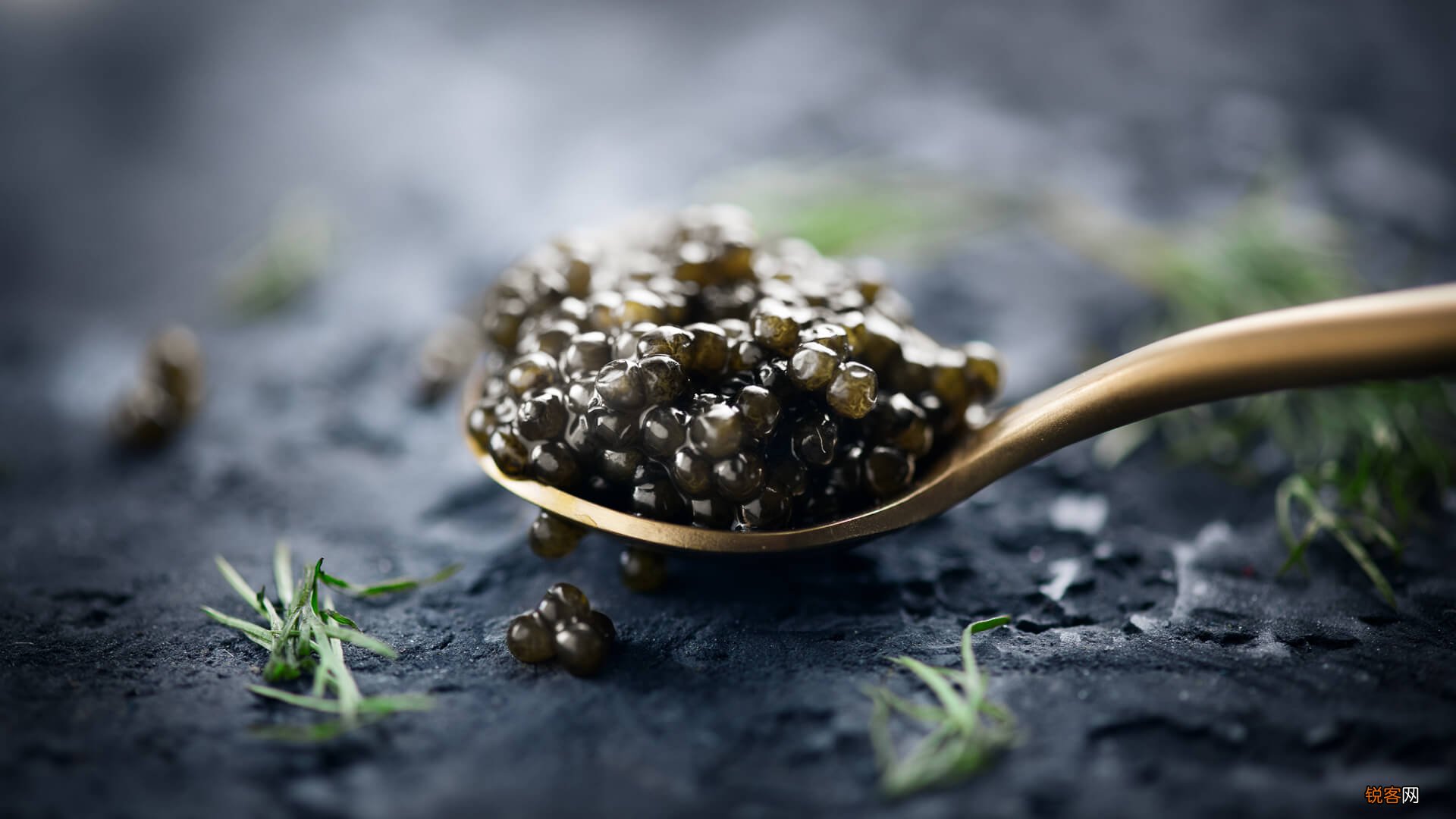 世界上最贵的食用鱼 被称为海里的金砖一条价值千万