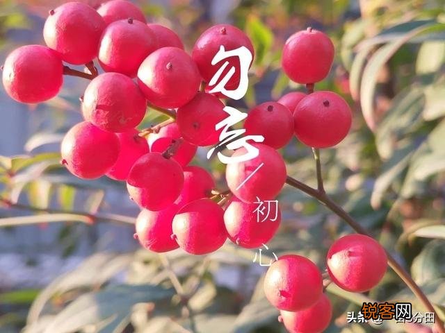大家手机手机上都经常用什么软件,能分享一下吗？