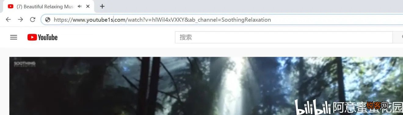 如何在YouTube 油管上下载你喜欢的视频 手把手教你下载