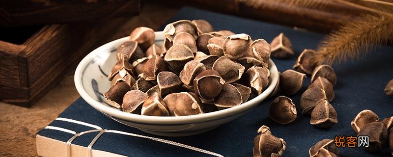 辣木籽来月经的时候能吃吗 辣木籽不适合哪些人吃