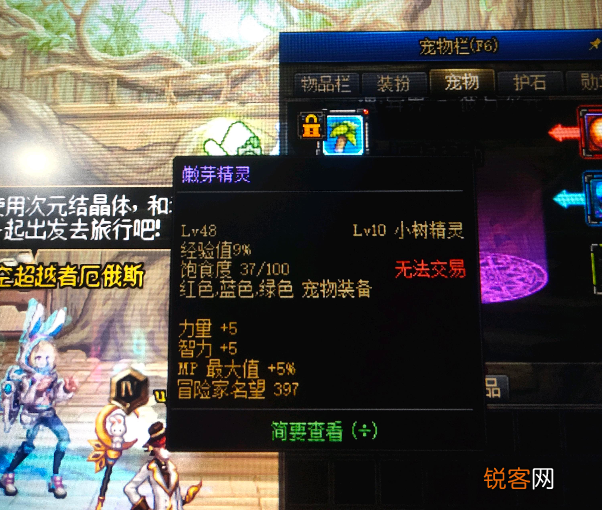 DNF公认最强宠物 如今旭旭宝宝花十万也买不到