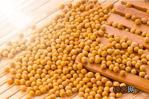 自制发膜拯救干枯头发 效果远超护发素