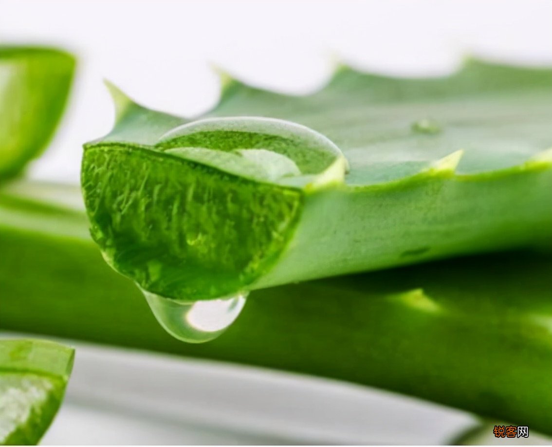 祛痘修复用什么护肤品推荐 祛痘产品中有哪些成分才能祛痘