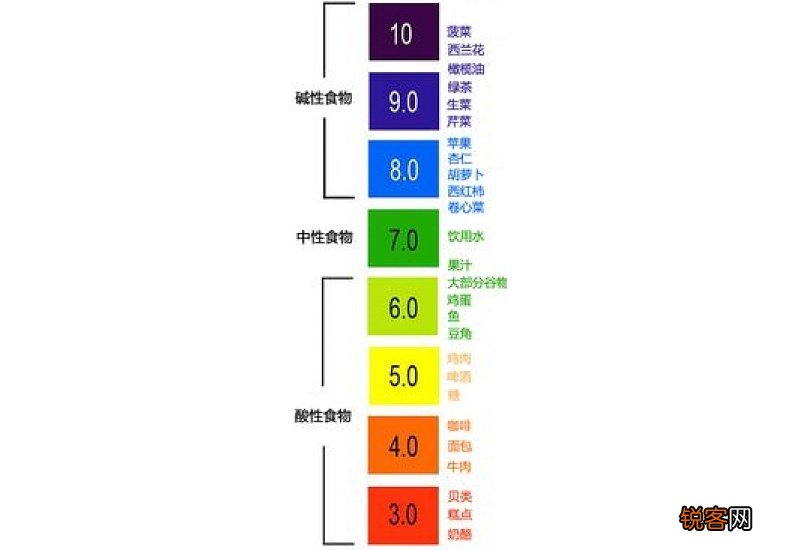 酸性体质容易瘦还是碱性