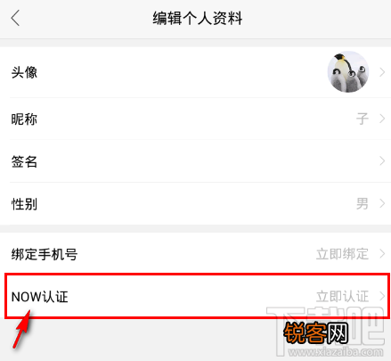 NOW直播怎么NOW认证