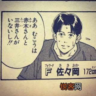 灌篮高手 那些年你不知道的人物关系