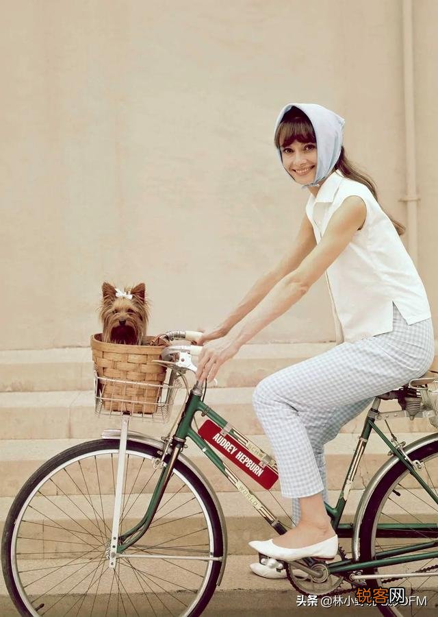 奥黛丽赫本和玛丽莲梦露有哪些区别？