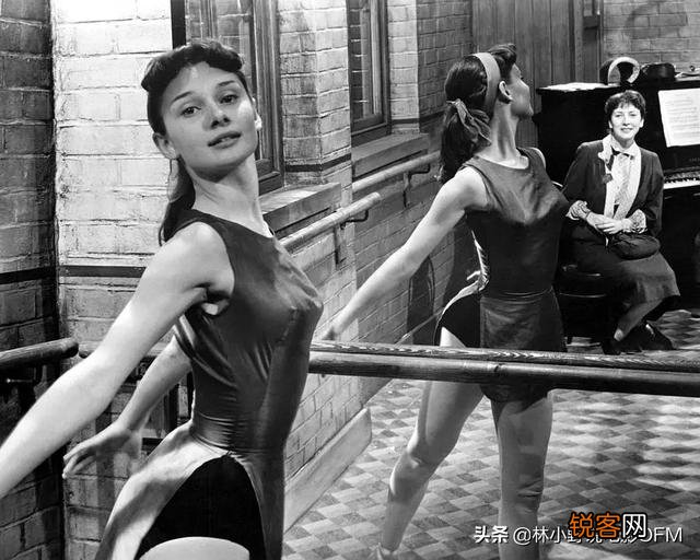 奥黛丽赫本和玛丽莲梦露有哪些区别？