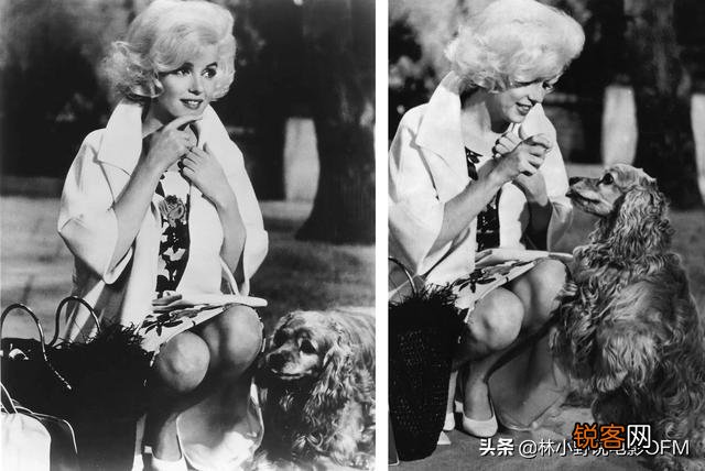 奥黛丽赫本和玛丽莲梦露有哪些区别？