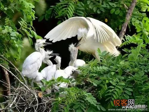 标题党横行的今天,什么样的标题更加吸引人？